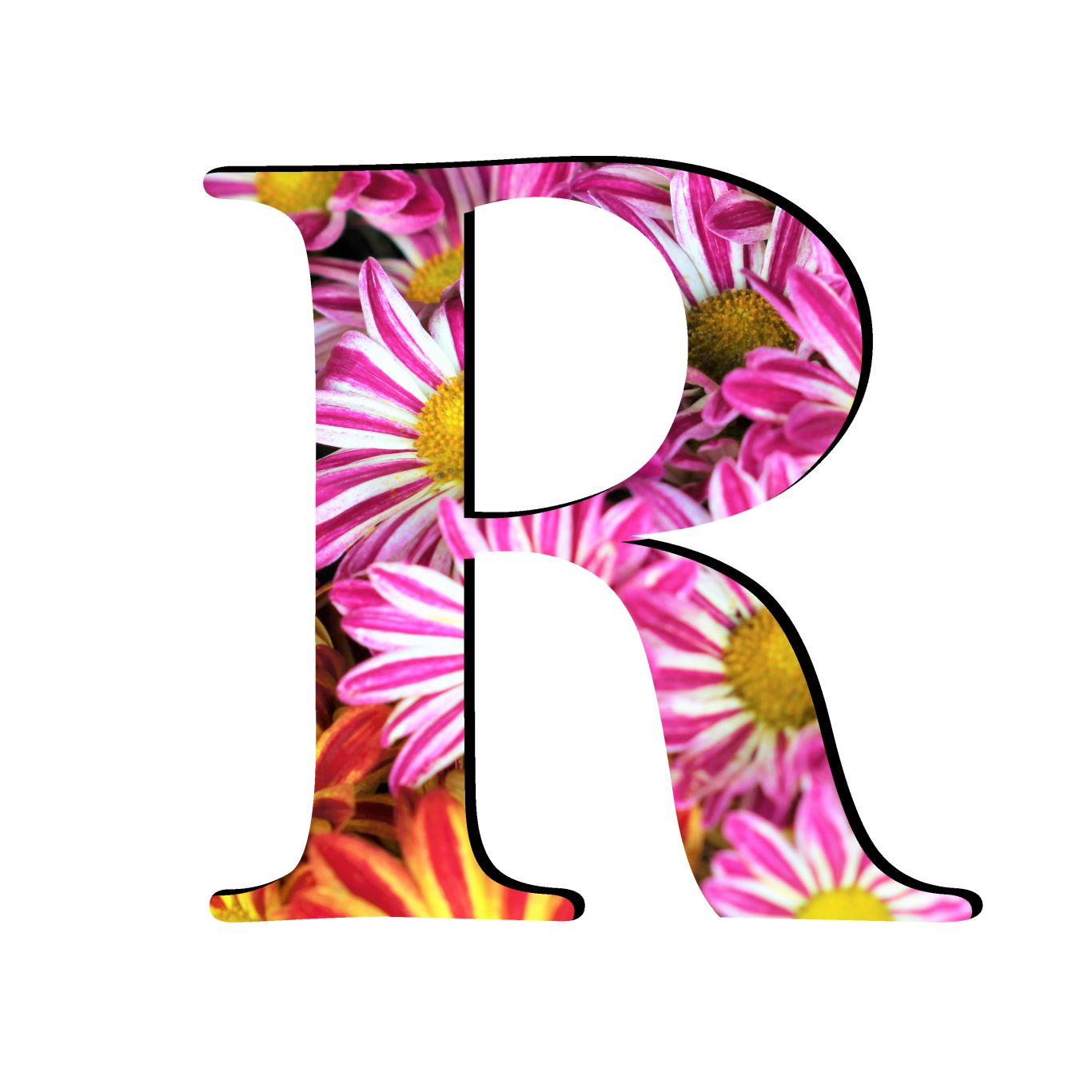 Letter R PNG    图片编号:93929
