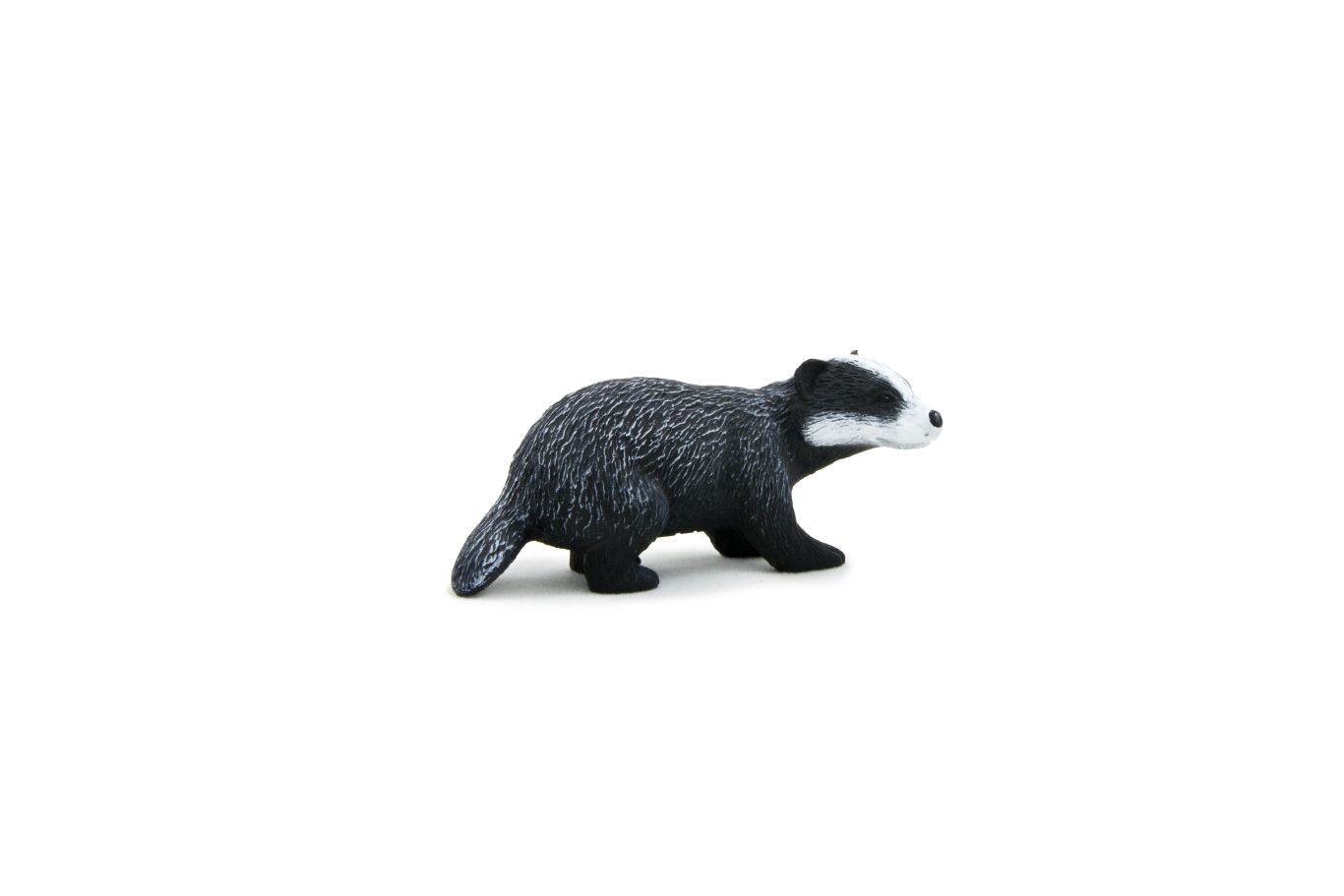 Badger PNG    图片编号:61787