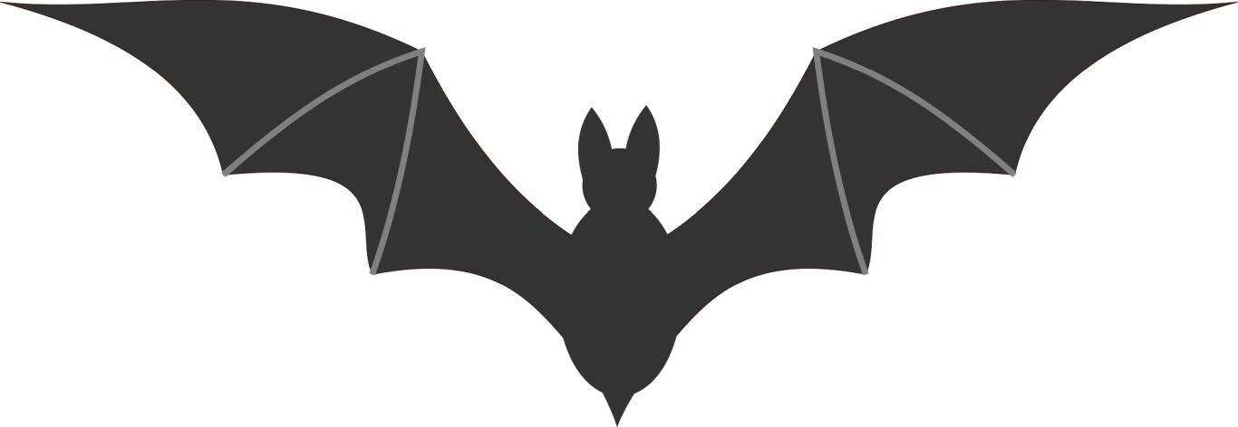 Bat PNG    图片编号:23757