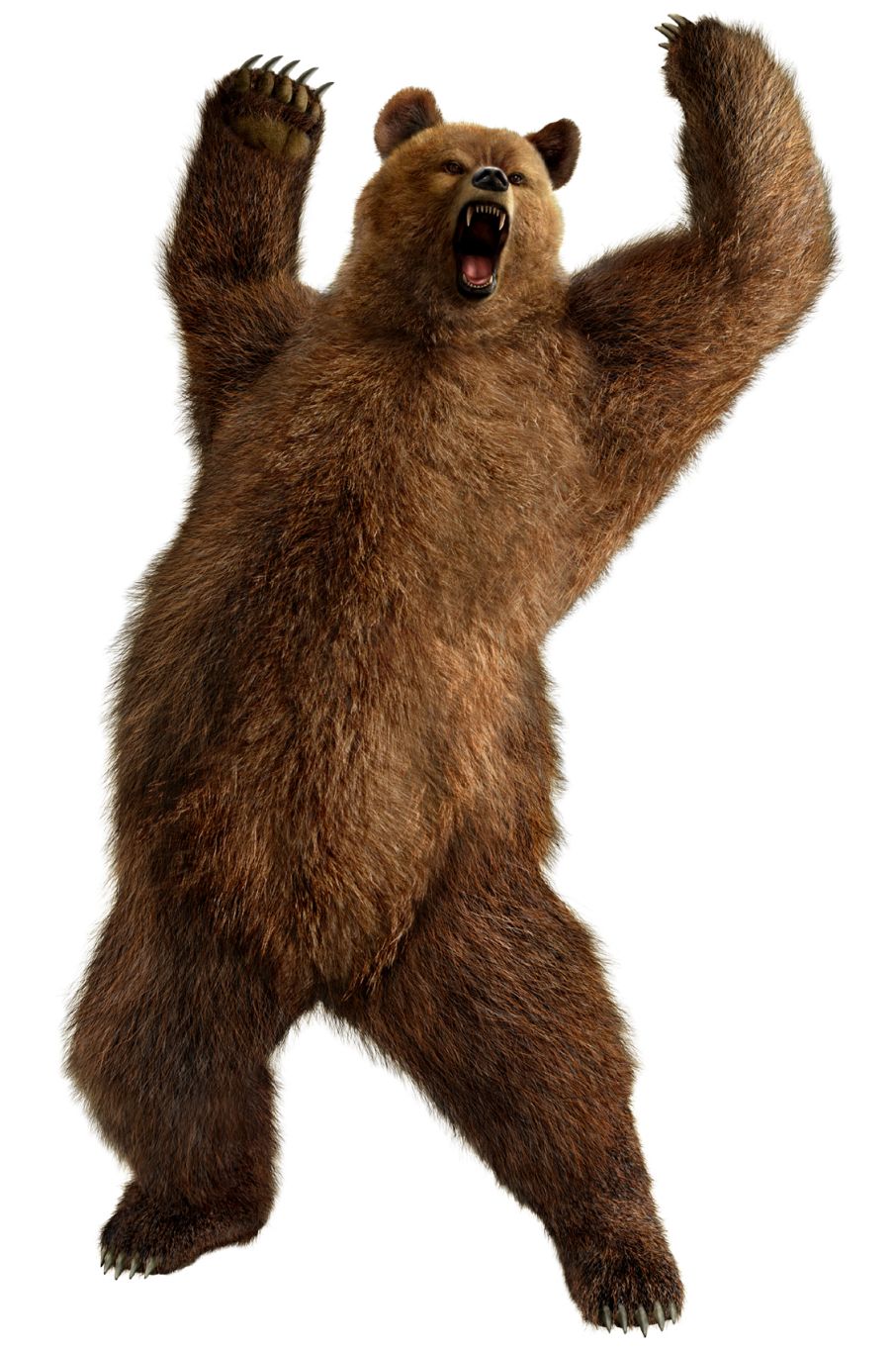 brown greezly bear PNG image    图片编号:1200
