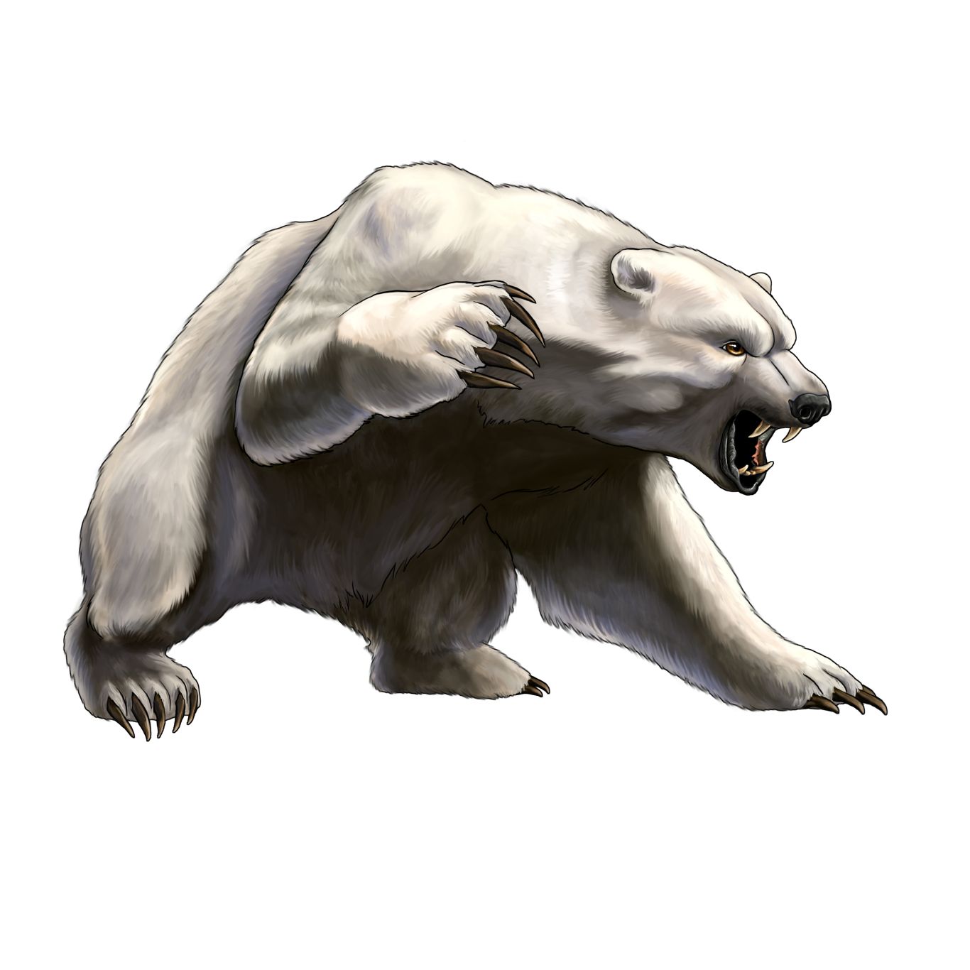 white angry bear PNG image    图片编号:1201