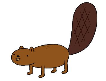 Beaver PNG    图片编号:31318