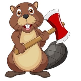 Beaver PNG    图片编号:31321