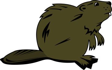 Beaver PNG    图片编号:31340