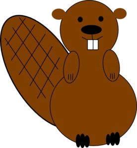 Beaver PNG    图片编号:31343