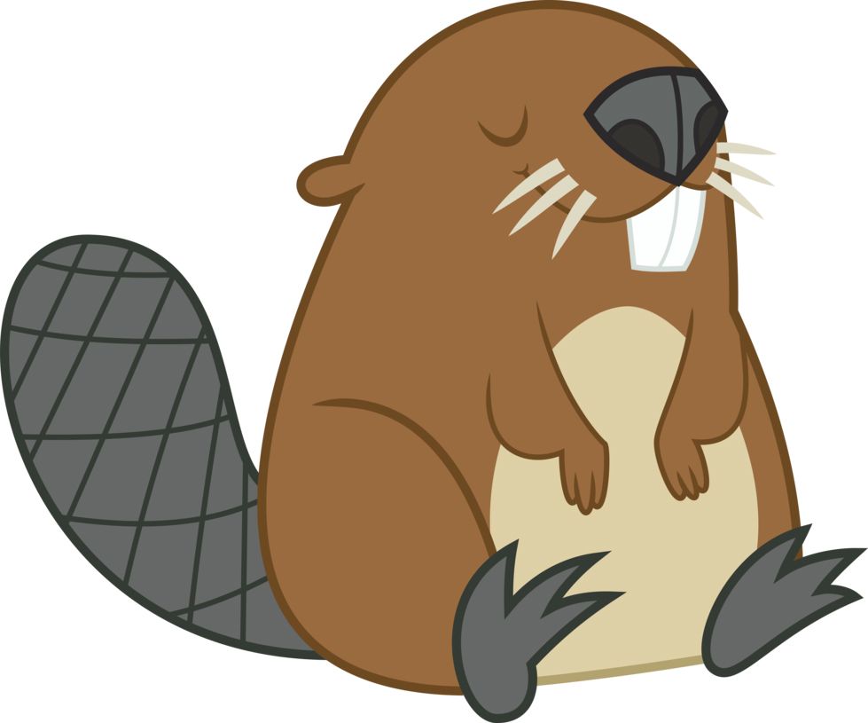 Beaver PNG    图片编号:31358