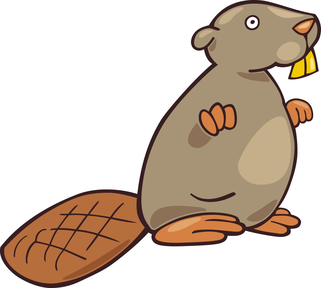 Beaver PNG    图片编号:31305