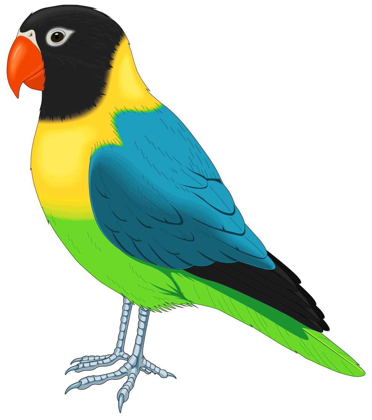Bird PNG    图片编号:20001