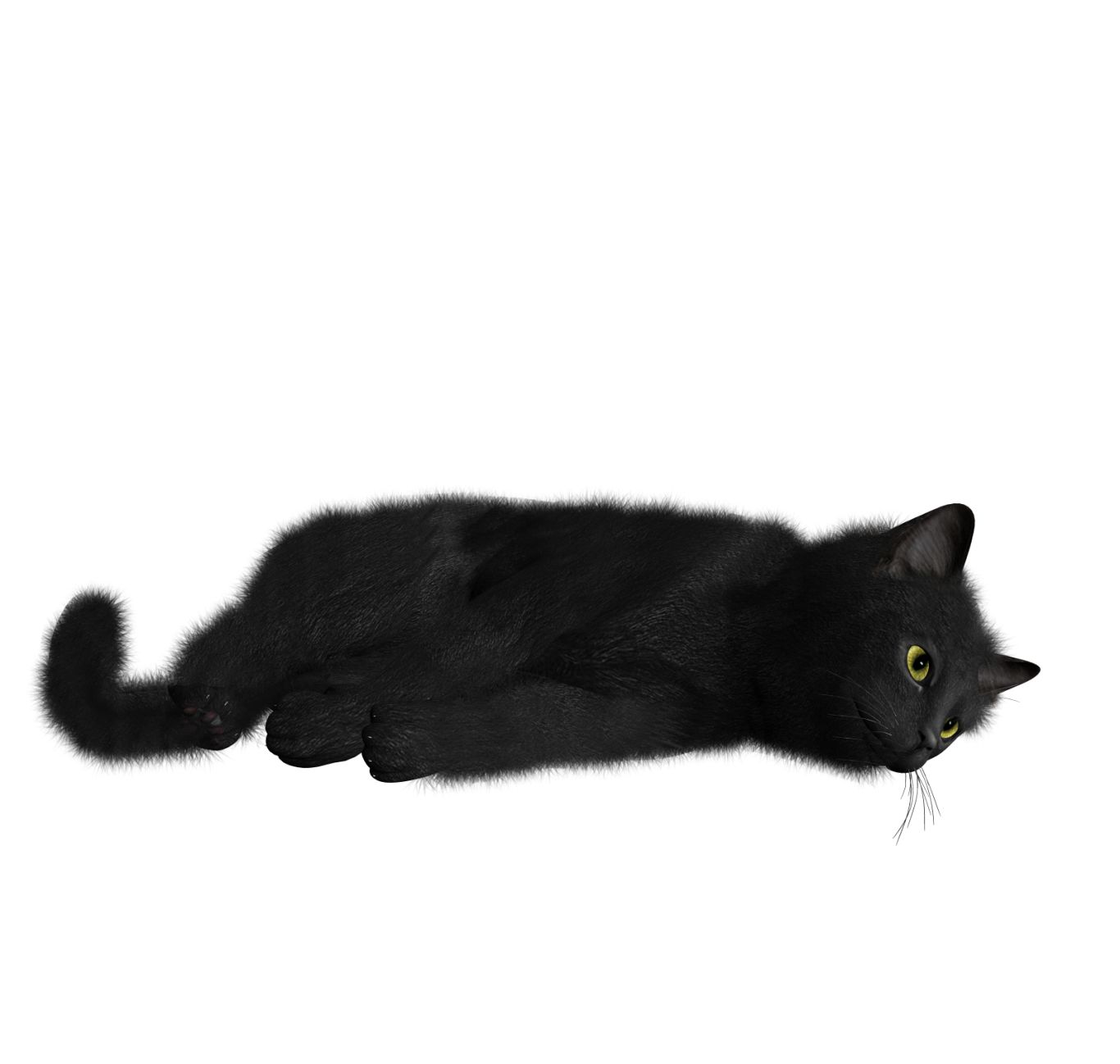 Cat PNG image    图片编号:1621