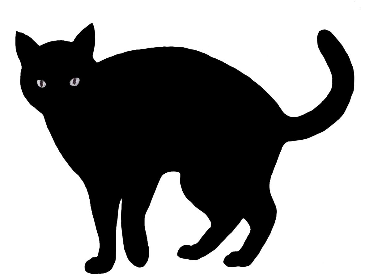 Black big cat PNG    图片编号:50510