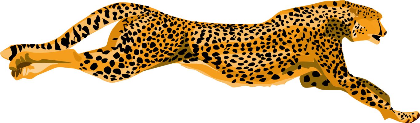 Cheetah PNG    图片编号:14866