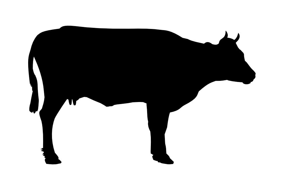 black cow PNG siluete    图片编号:2131