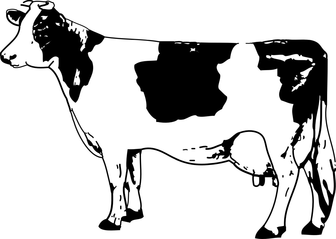 Cow PNG image    图片编号:2133