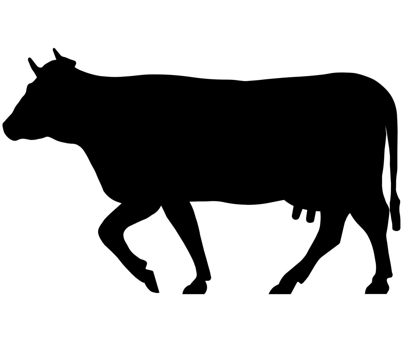cow PNG    图片编号:50575