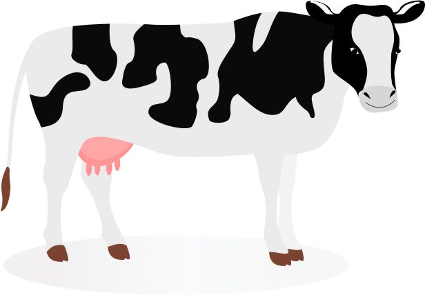 cow PNG    图片编号:50582