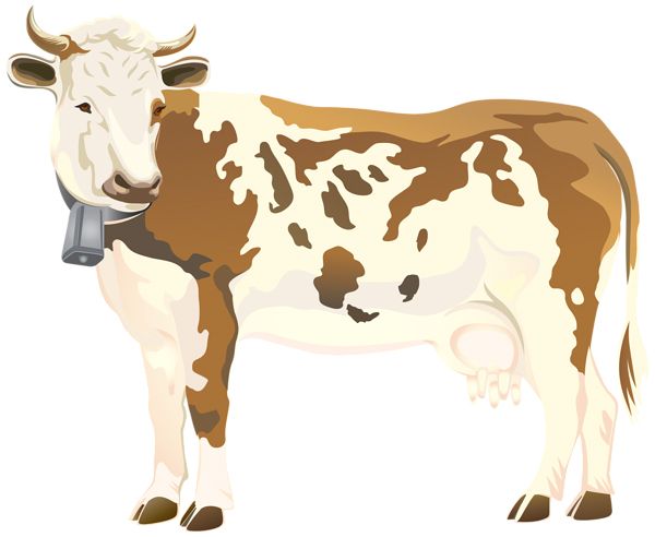 cow PNG    图片编号:50611