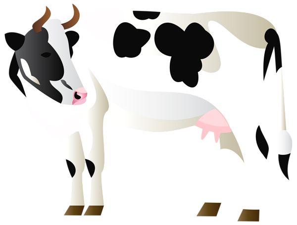 cow PNG    图片编号:50615