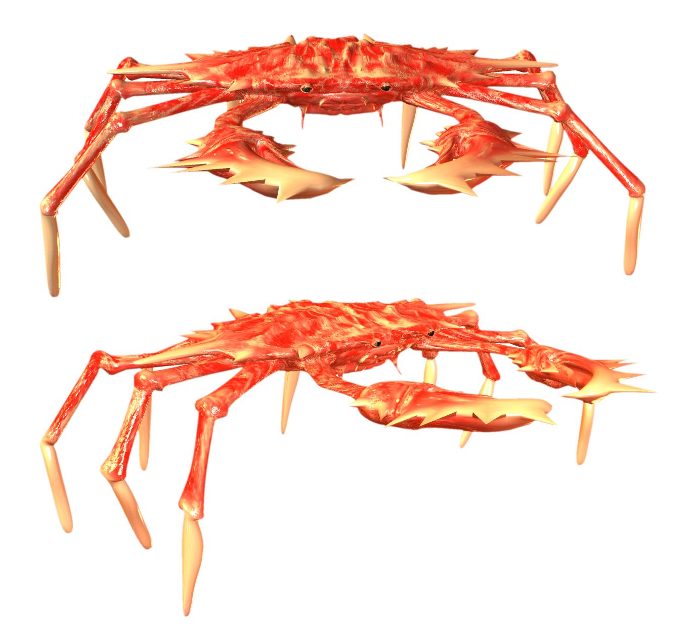 Crab PNG    图片编号:23718
