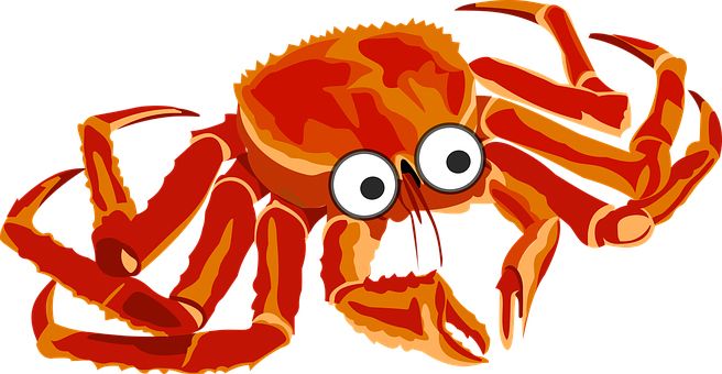 Crab PNG    图片编号:23719