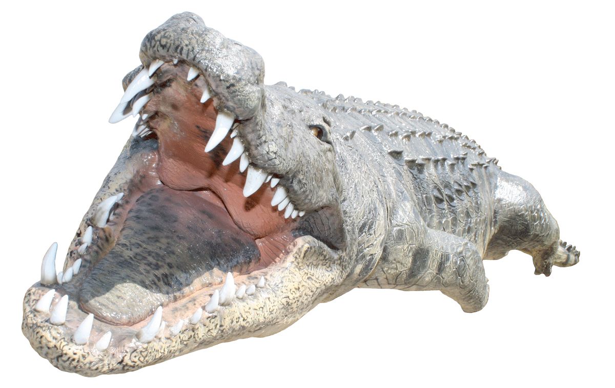 Crocodile PNG    图片编号:13169