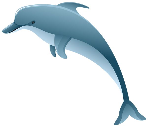Dolphin PNG    图片编号:71356