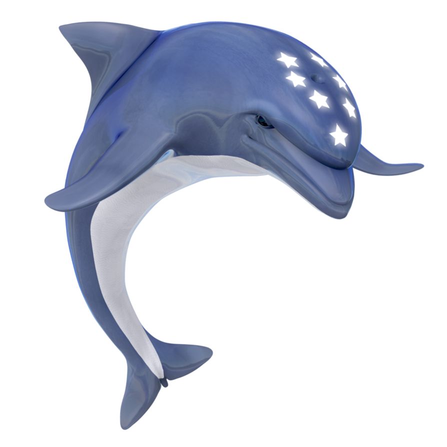 Dolphin PNG    图片编号:71361