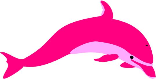 Dolphin PNG    图片编号:71365