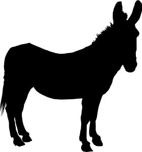 Donkey PNG    图片编号:25040