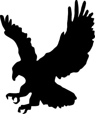 Eagle black siluet PNG image, free download    图片编号:1203