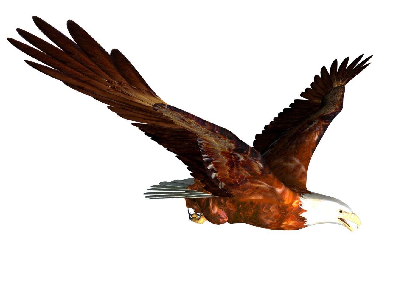 flying eagle PNG image, free download    图片编号:1214
