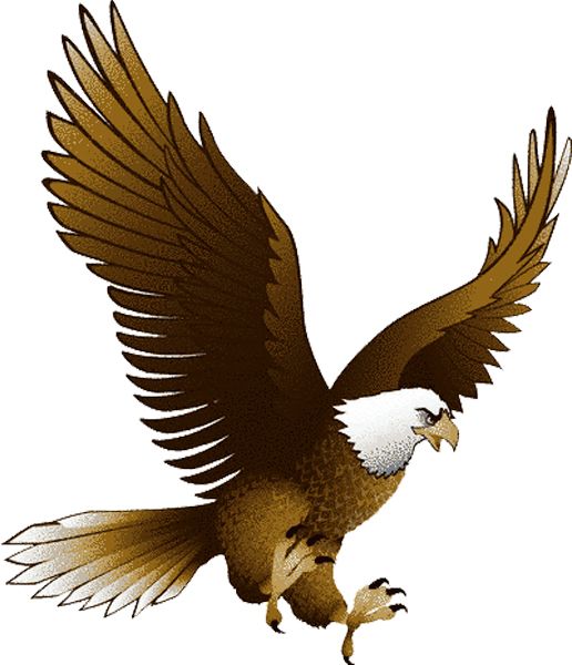 Eagle PNG image with transparency, free download    图片编号:1217