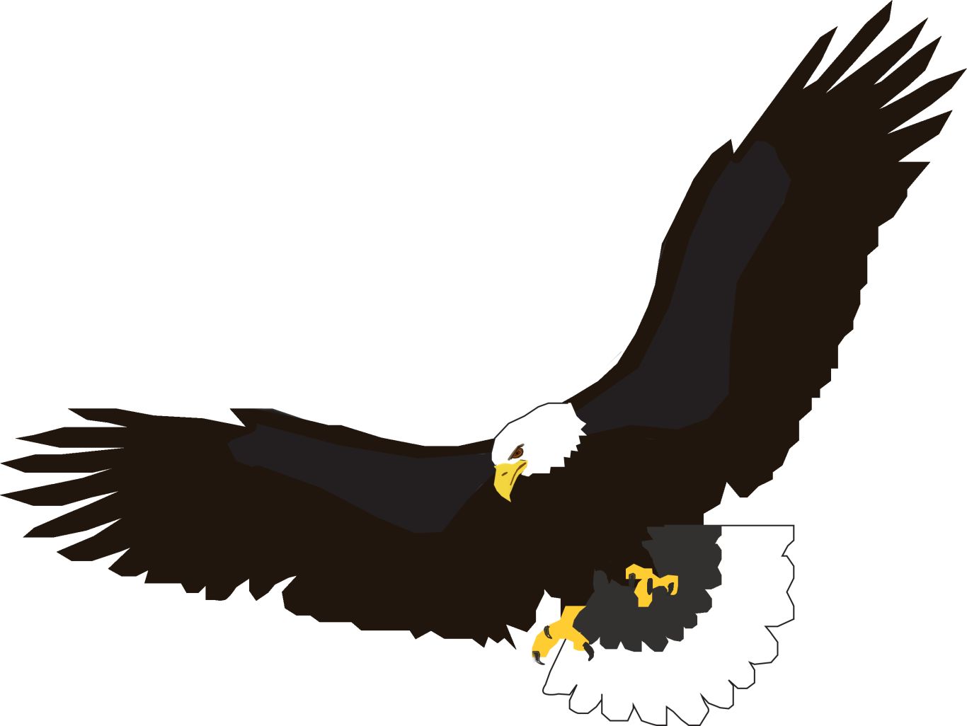 flying eagle PNG image, free download    图片编号:1219