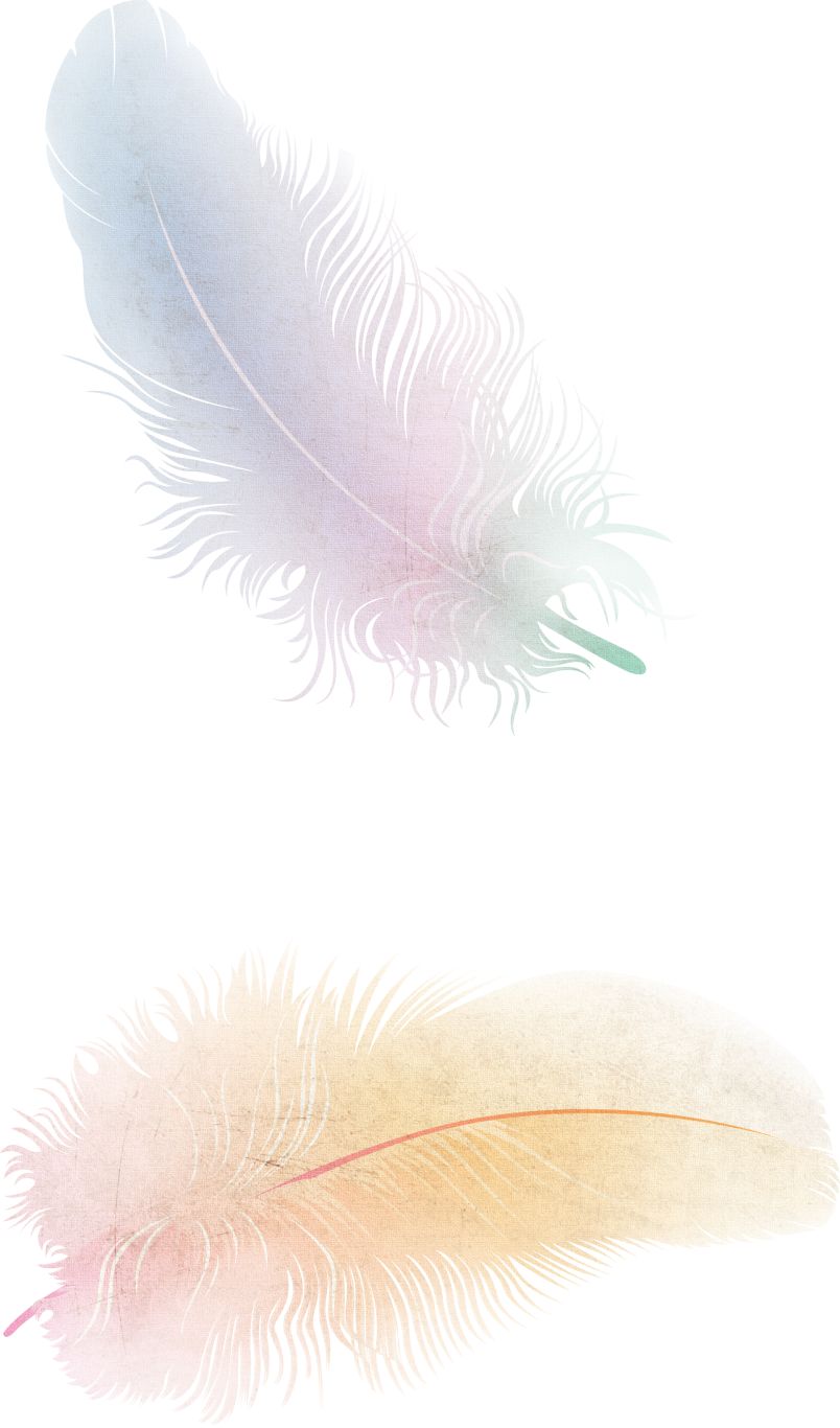Feather PNG    图片编号:12956