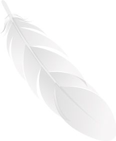 Feather PNG    图片编号:12989