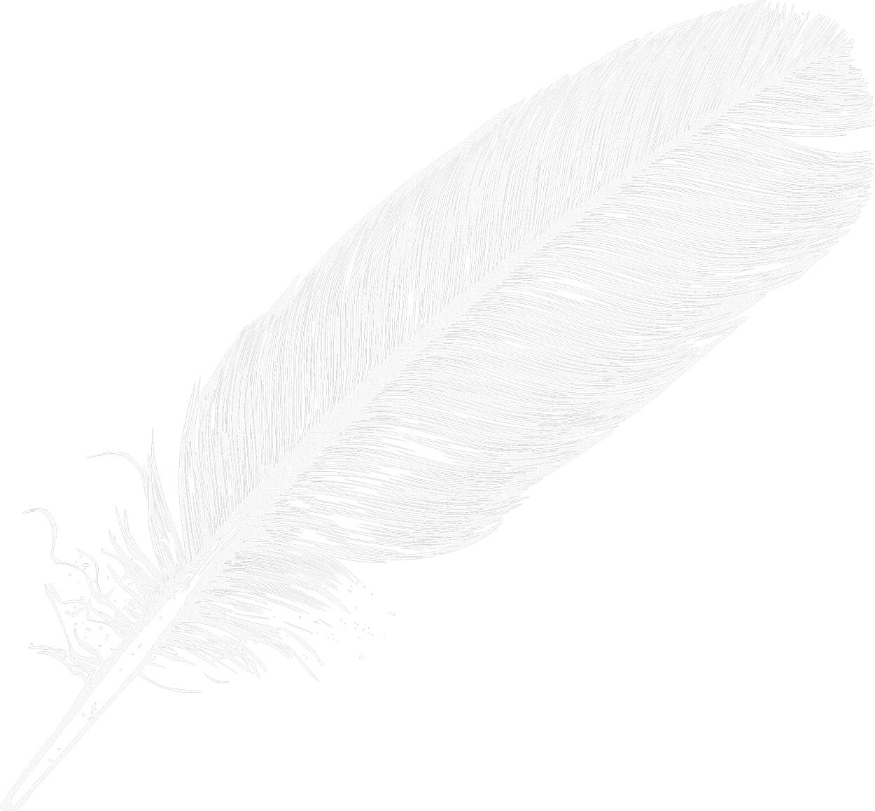 Feather PNG    图片编号:12991