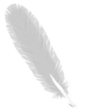 Feather PNG    图片编号:13001