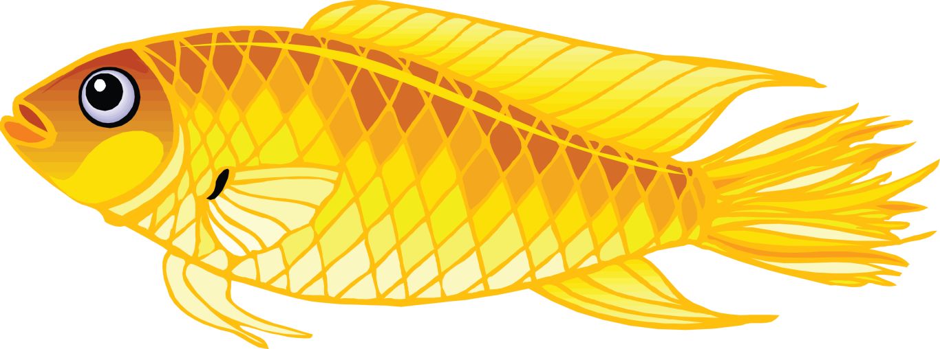 gold fish PNG image    图片编号:1141