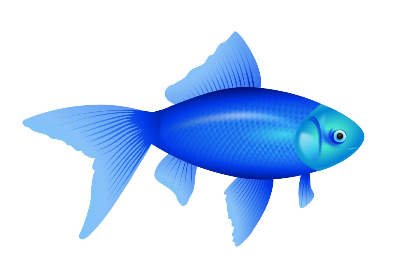 blue fish PNG image    图片编号:1151