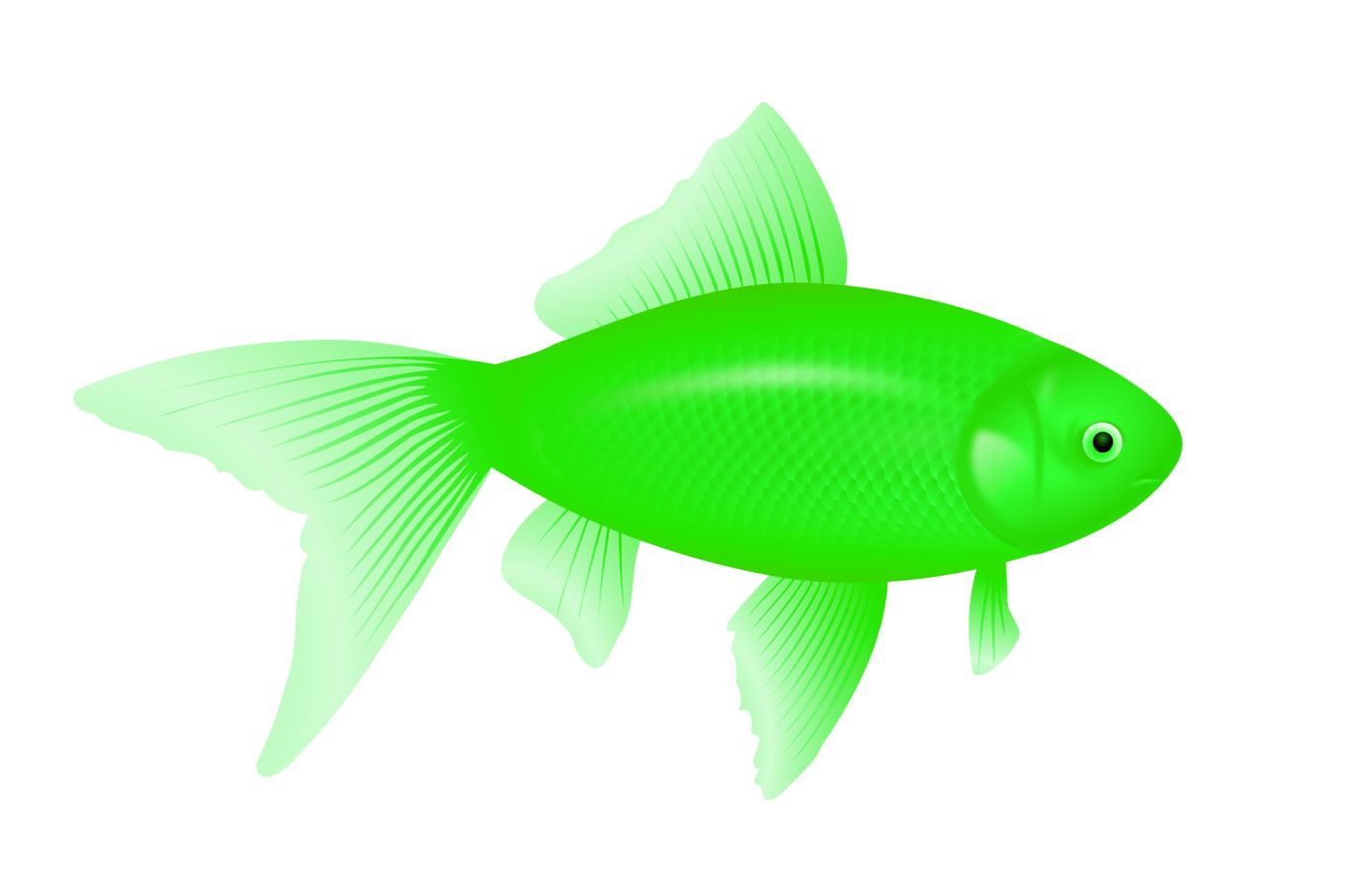 green fish PNG image    图片编号:1161