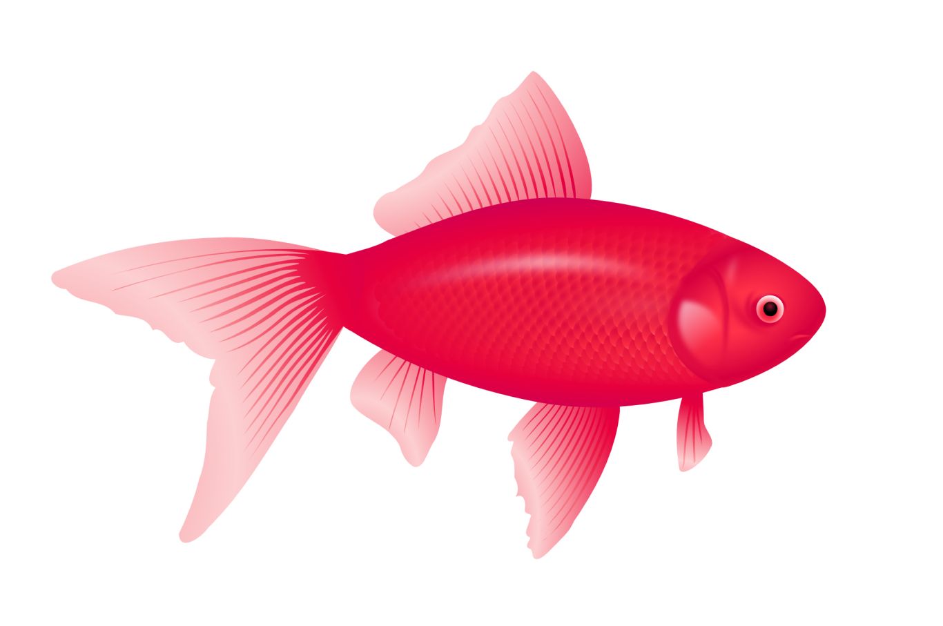 purple fish PNG image    图片编号:1163