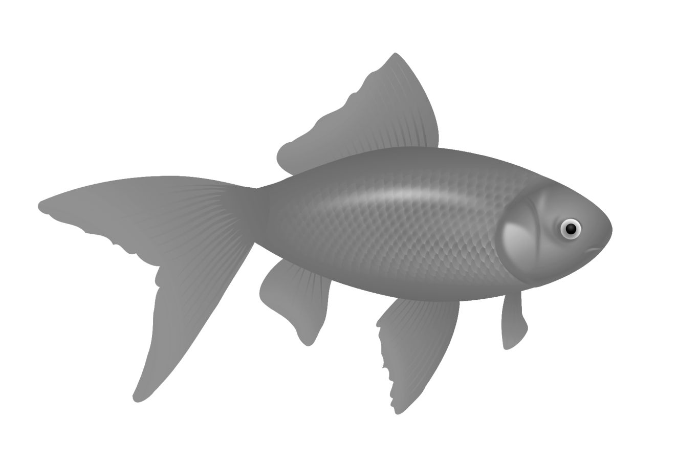 fish PNG image    图片编号:1164