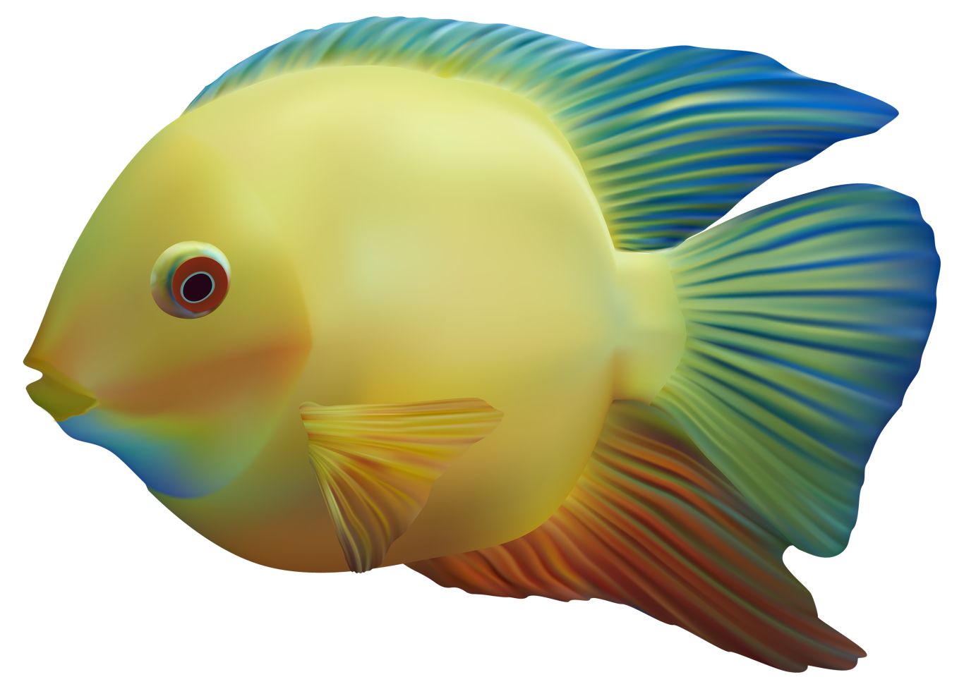 Fish PNG    图片编号:25124