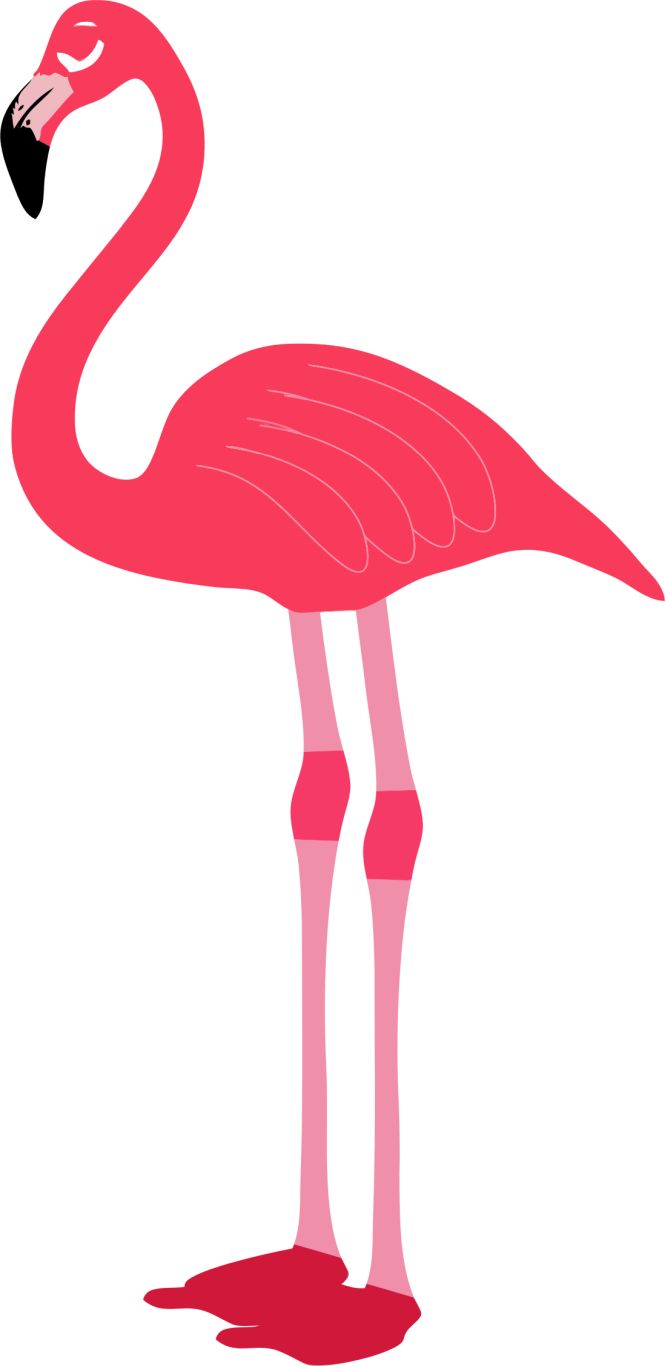 Flamingo PNG    图片编号:15096