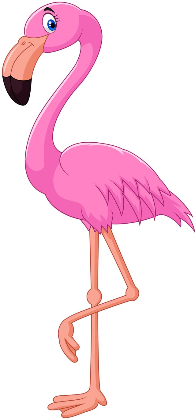 Flamingo PNG    图片编号:15104