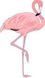 Flamingo PNG    图片编号:15109