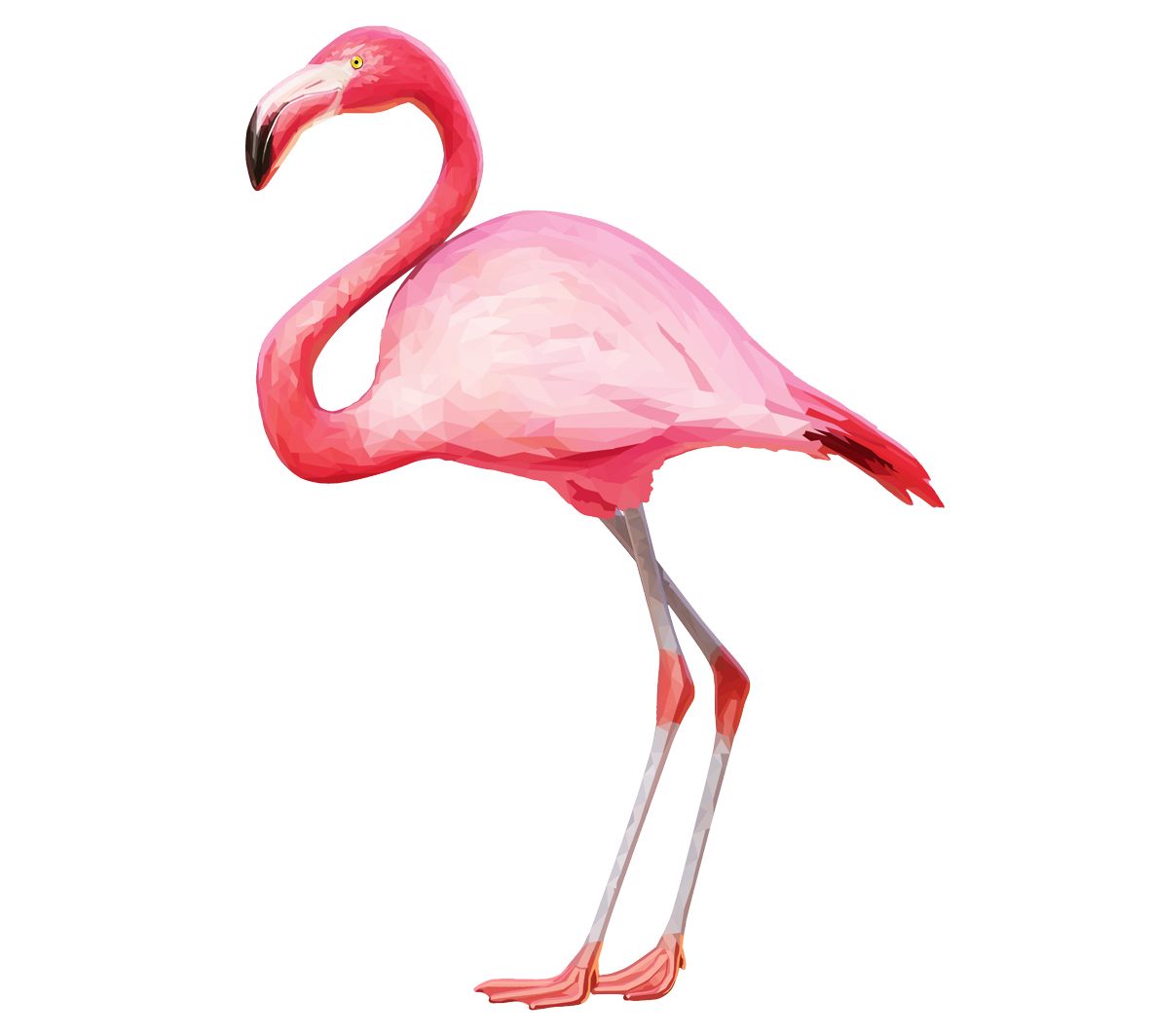 Flamingo PNG    图片编号:15116