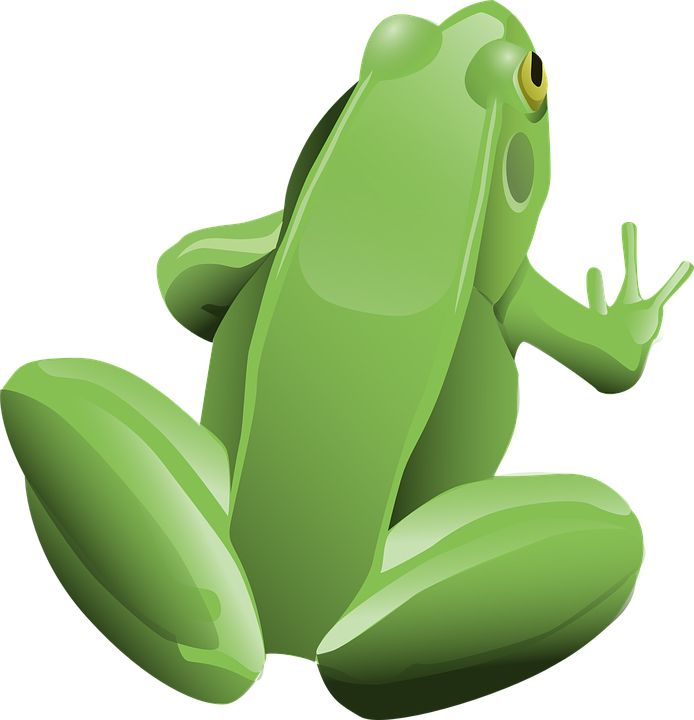 Green frog PNG    图片编号:35765