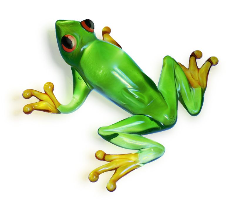 Green frog PNG    图片编号:35770