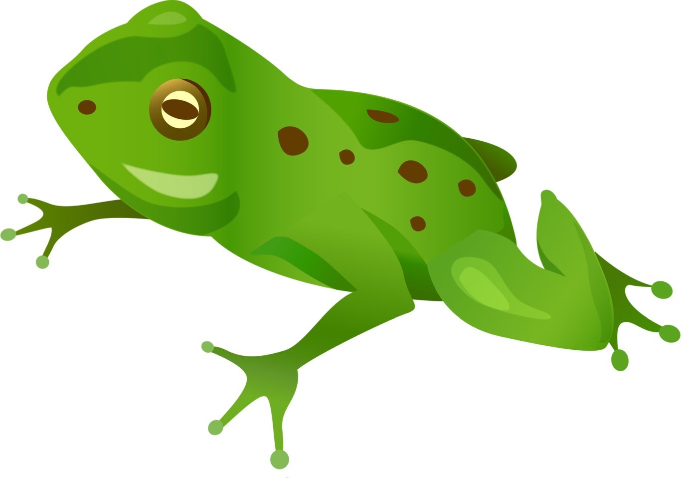 Green frog PNG    图片编号:35774
