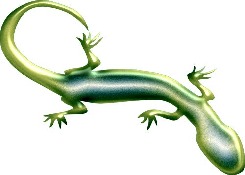 Gecko PNG    图片编号:105616